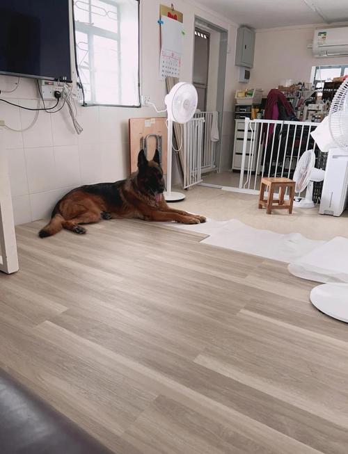 Is SPC flooring suitable for home decoration